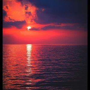 Meet your Posher, Jaylon